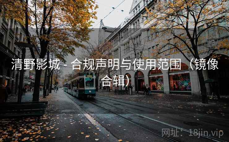 清野影城 - 合规声明与使用范围（镜像合辑）