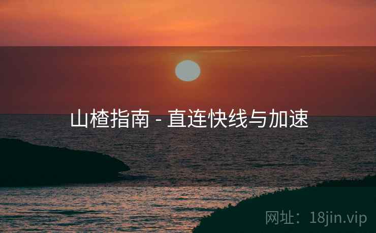 山楂指南 - 直连快线与加速