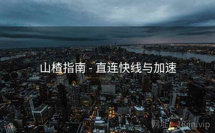 山楂指南 - 直连快线与加速