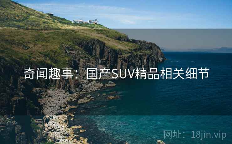 奇闻趣事:国产SUV精品相关细节 奇闻趣事:国产SUV精品相关细节