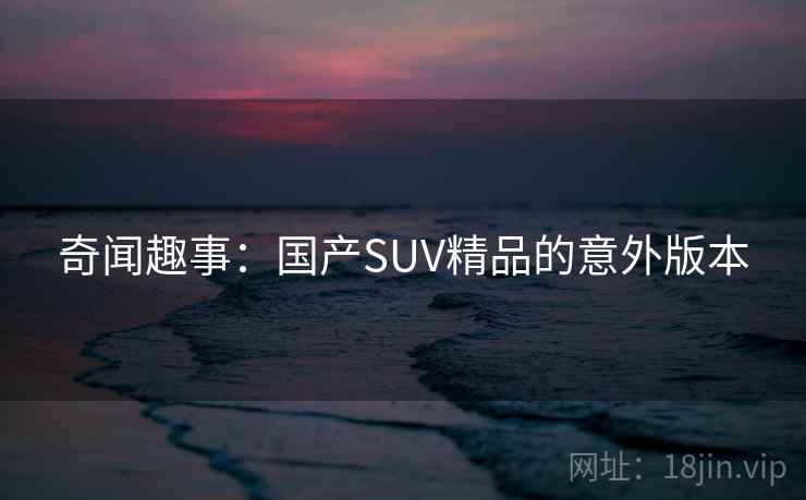 奇闻趣事：国产SUV精品的意外版本