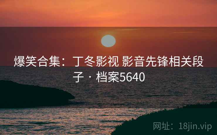 爆笑合集：丁冬影视 影音先锋相关段子 · 档案5640